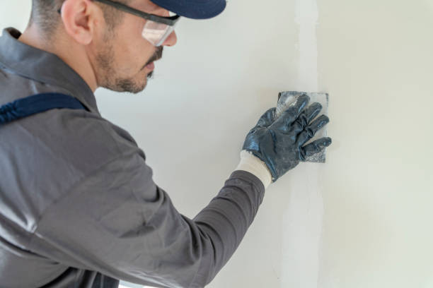 Trusted Franklin Lakes, NJ Mold Removal Experts